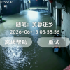 芙蓉还乡