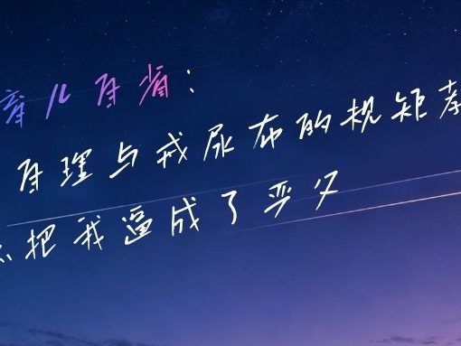 规矩教育